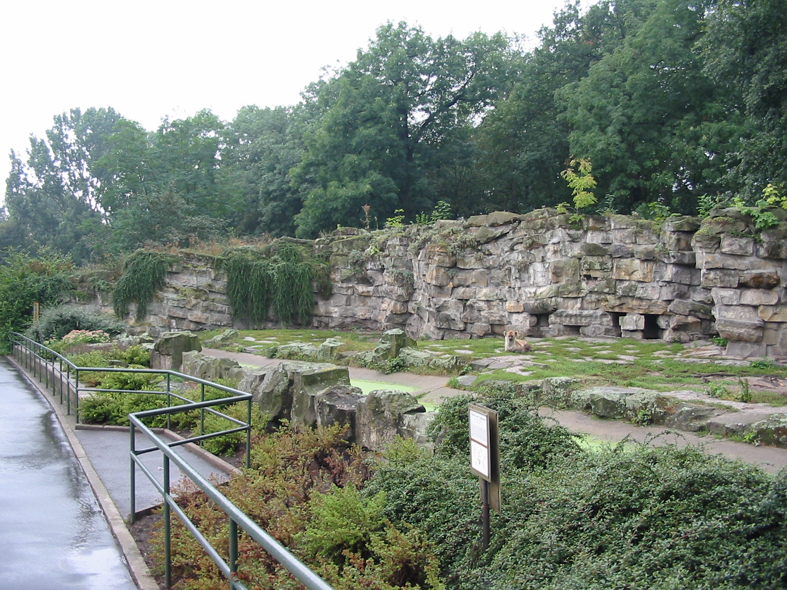 Berlin Tierpark 2004 - Spotted Hyena exhibit