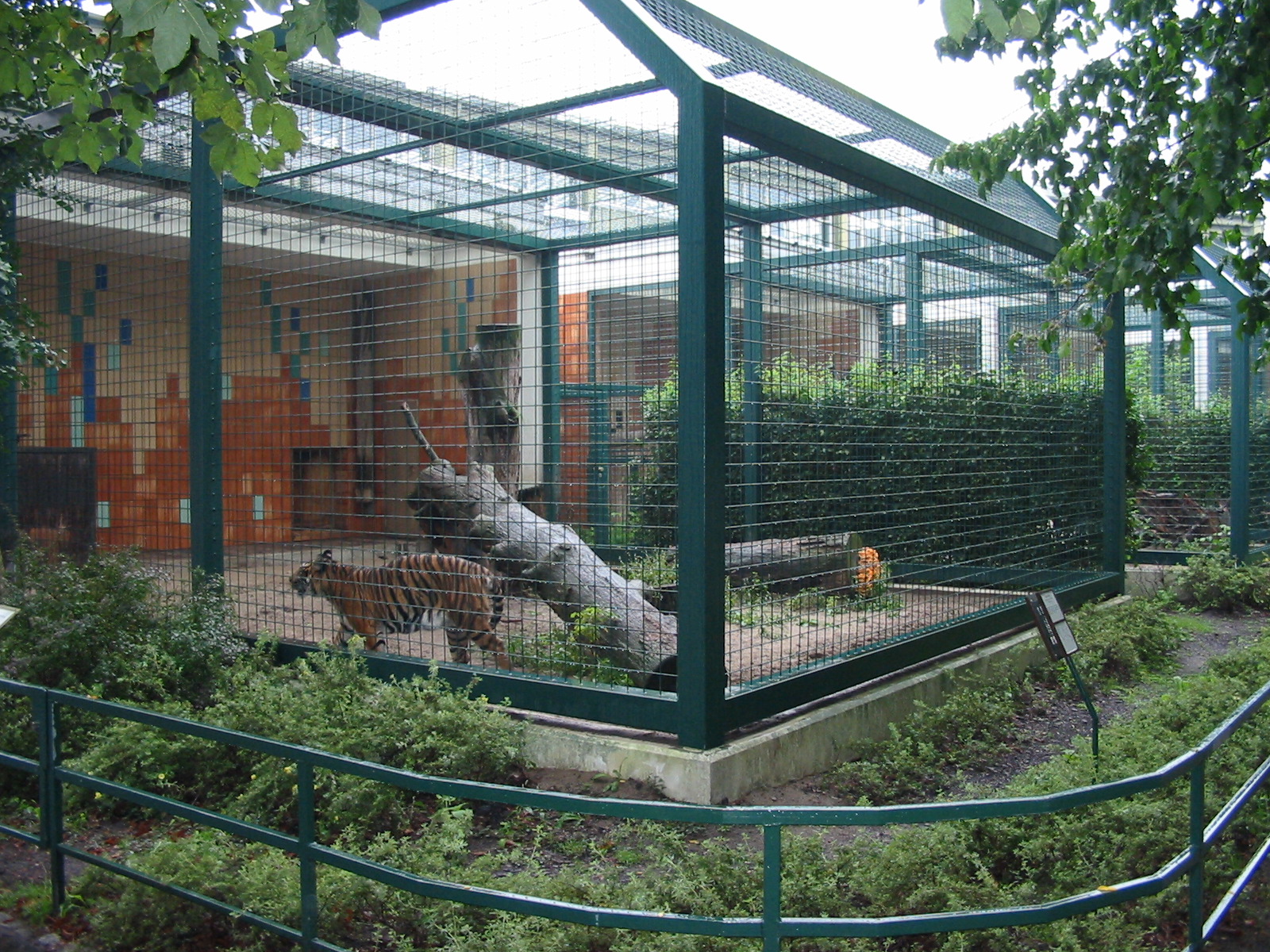 Berlin Tierpark 2004 - Sumatran Tiger outdoor enclosure at the Alfred Brehm