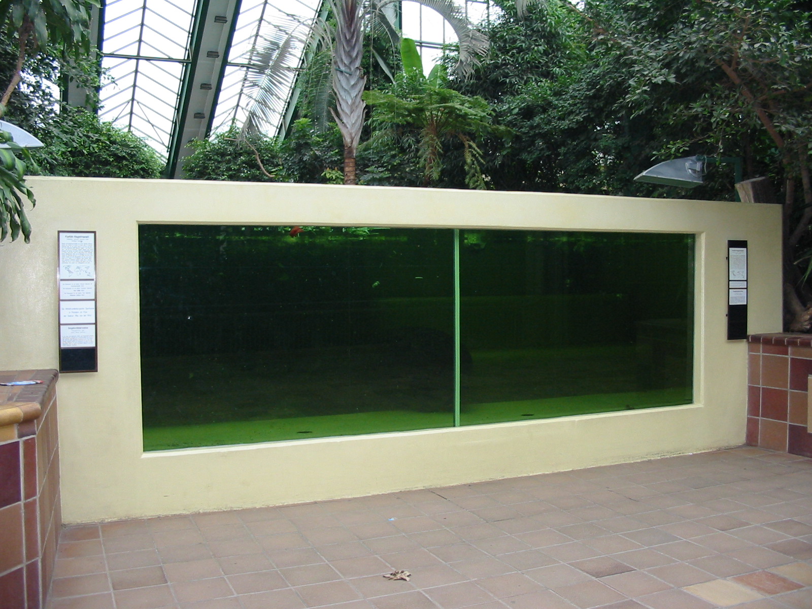 Berlin Tierpark 2004 - Viewing window into the Caribbean Manatee exhibit