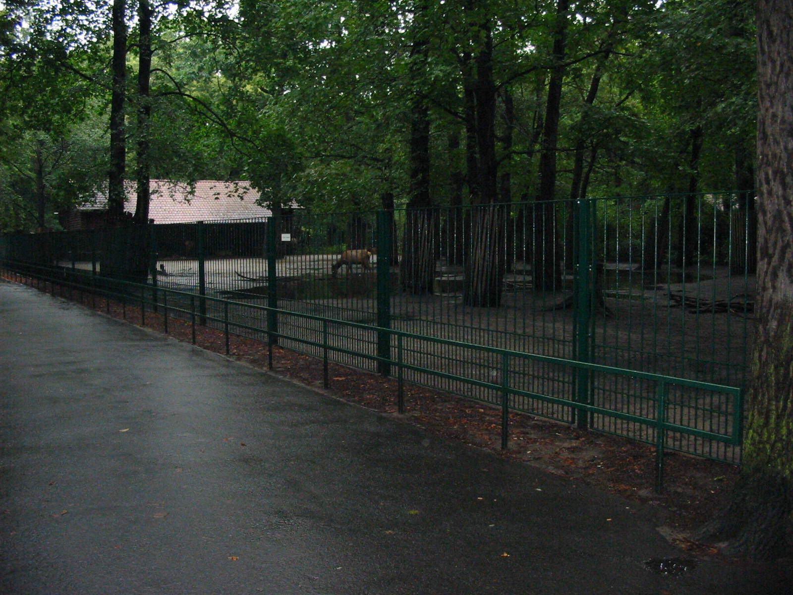 Berlin Tierpark 2004 - Wapiti enclosure