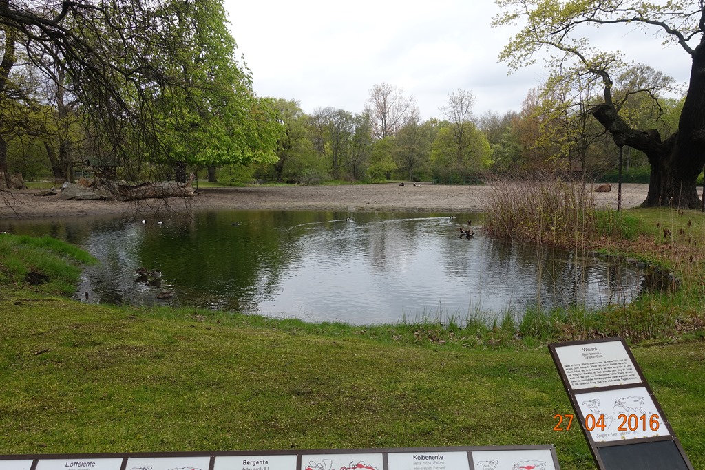 Berlin Tierpark 27.4.16