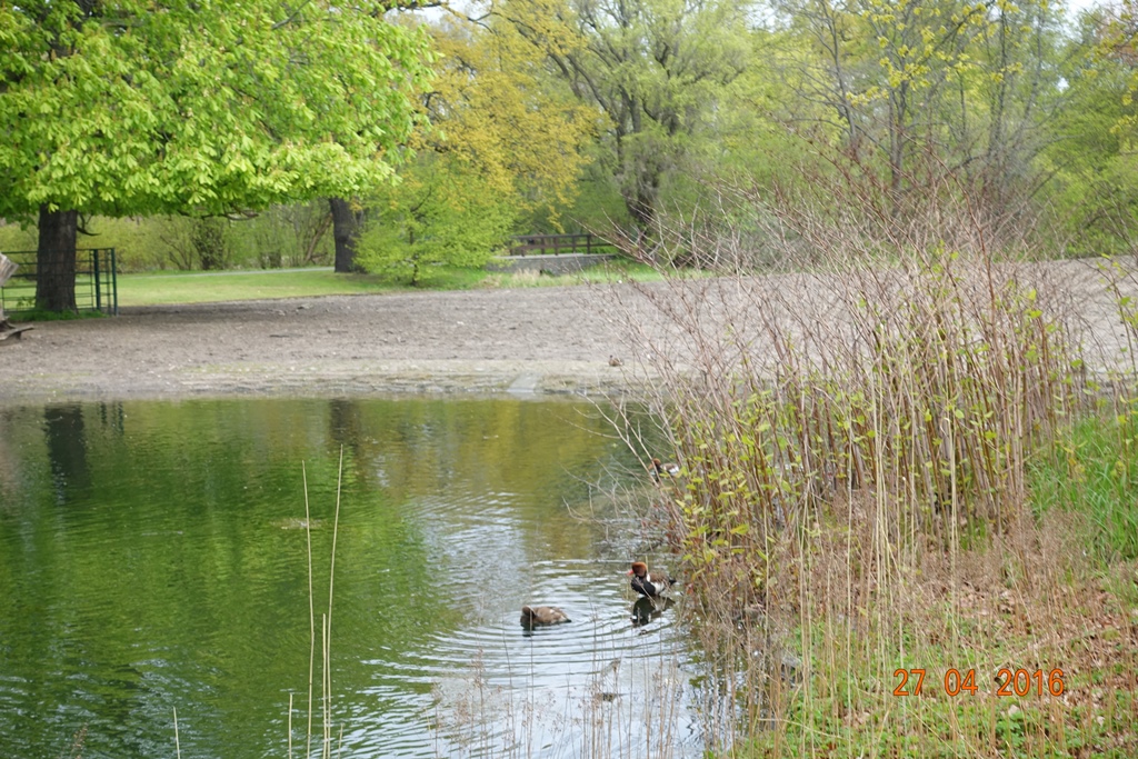 Berlin Tierpark 27.4.16
