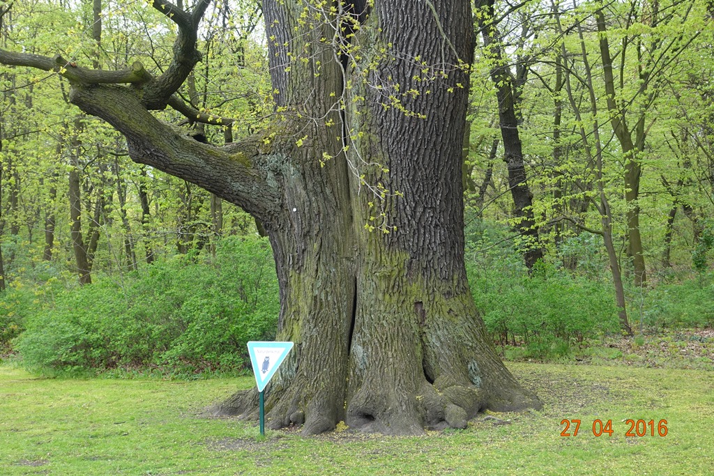 Berlin Tierpark 27.4.16