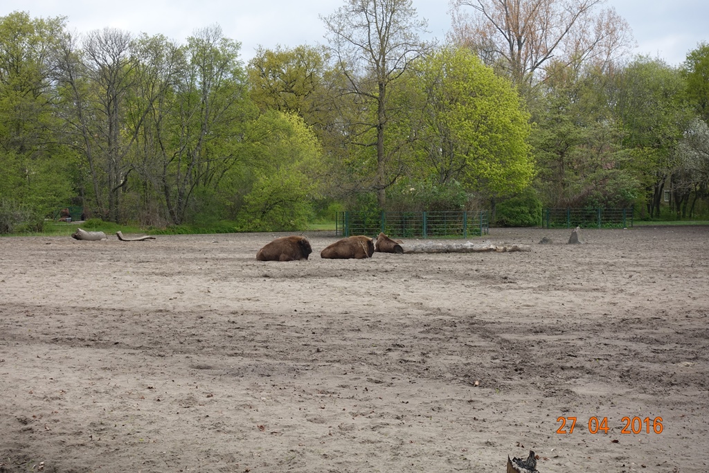Berlin Tierpark 27.4.16