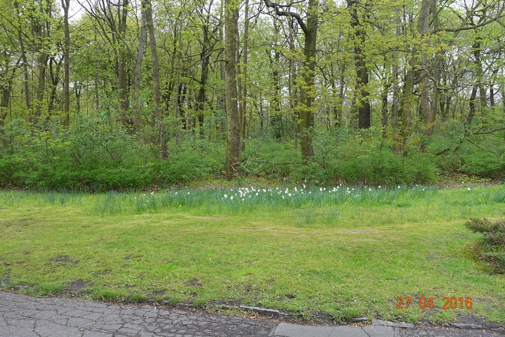 Berlin Tierpark 27.4.16