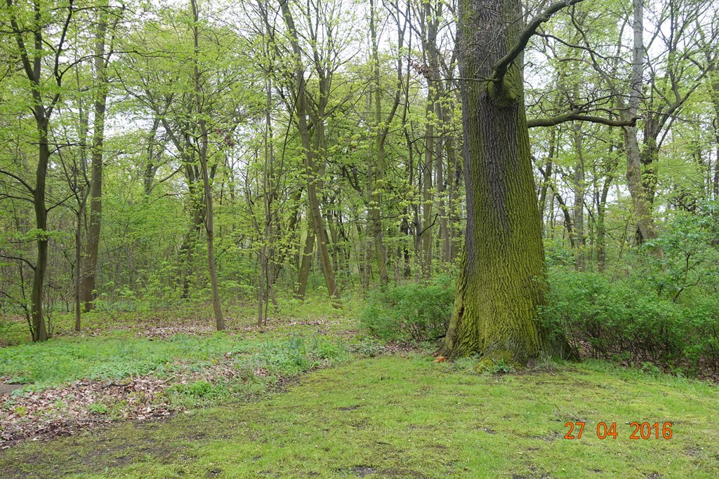 Berlin Tierpark 27.4.16