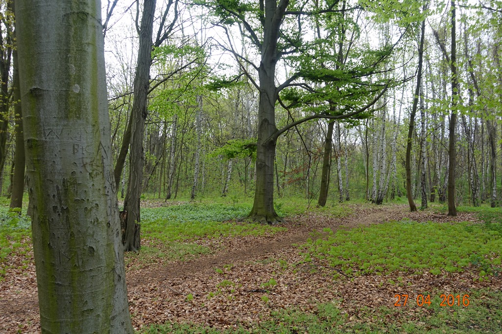 Berlin Tierpark 27.4.16