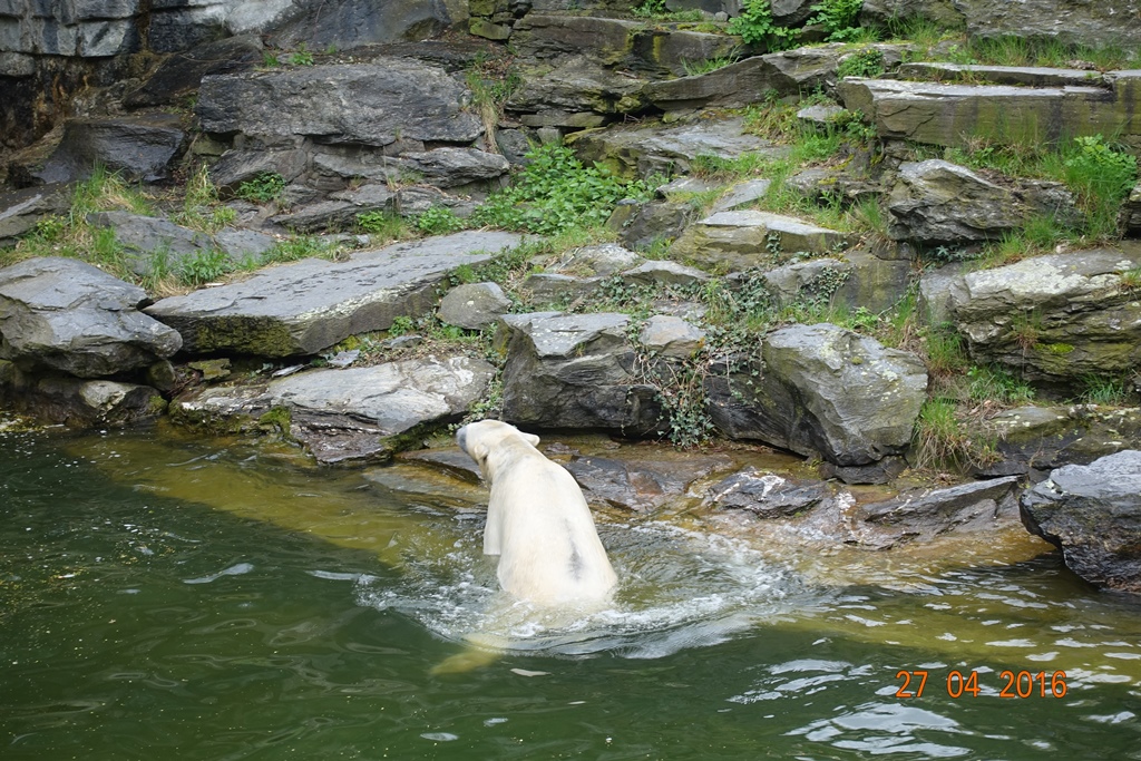 Berlin Tierpark 27.4.16