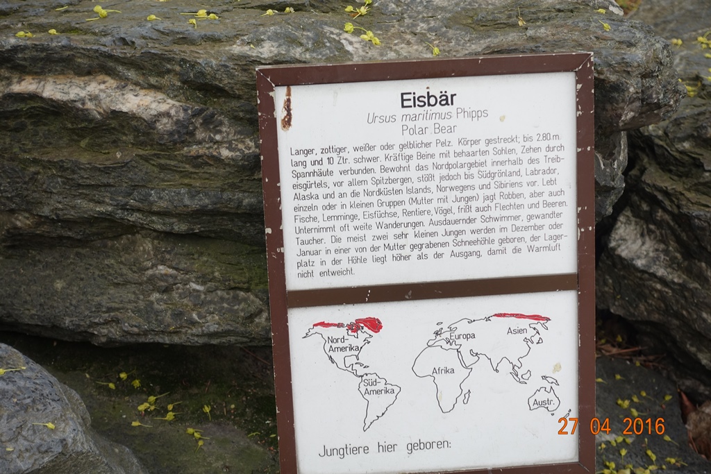 Berlin Tierpark 27.4.16