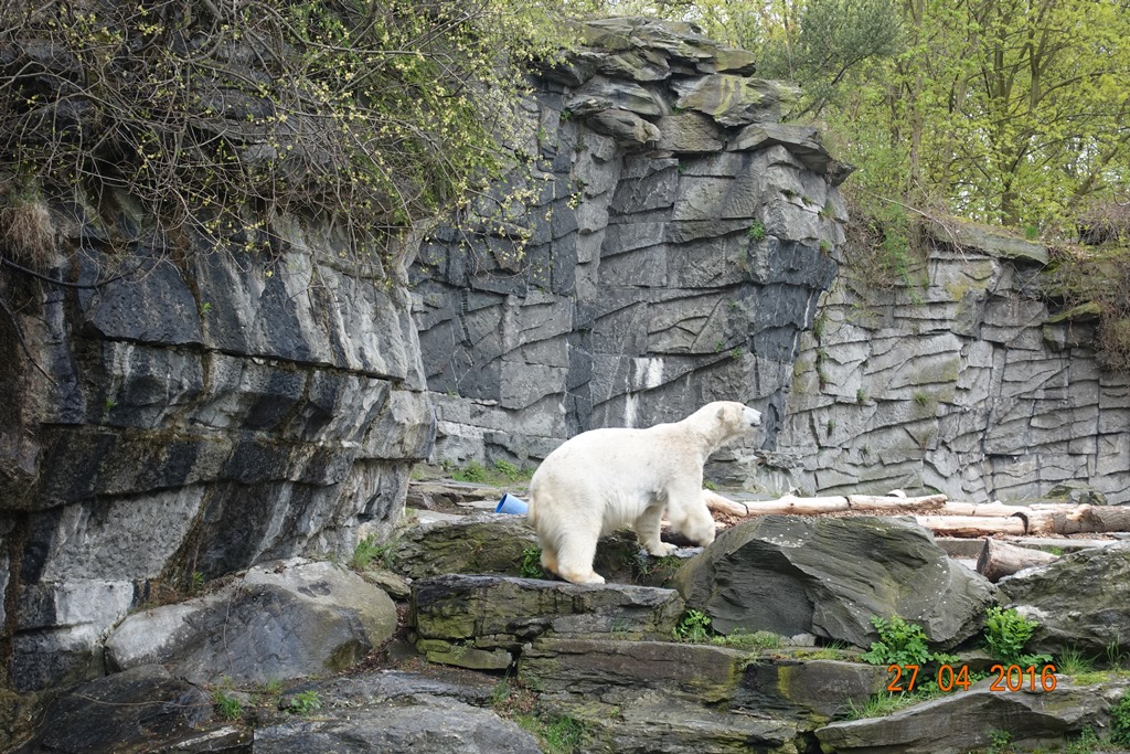 Berlin Tierpark 27.4.16