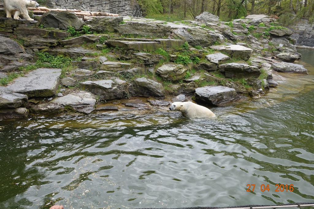 Berlin Tierpark 27.4.16