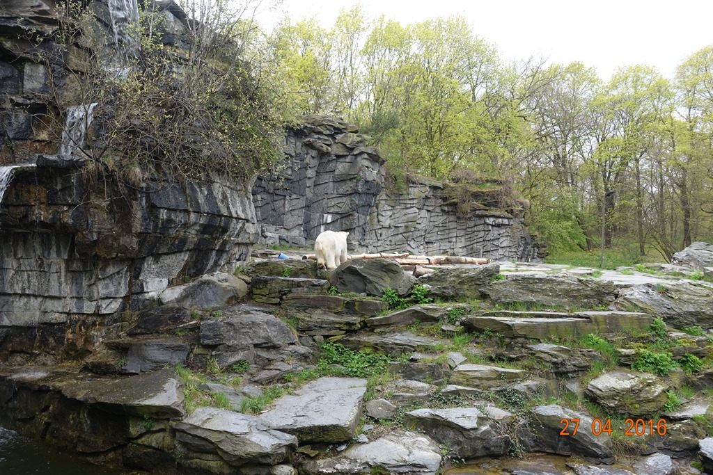 Berlin Tierpark 27.4.16
