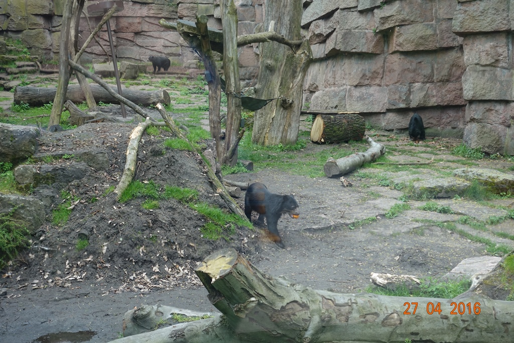 Berlin Tierpark 27.4.16