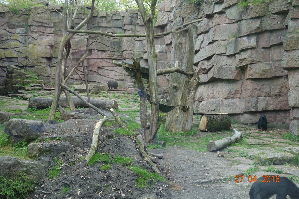 Berlin Tierpark 27.4.16