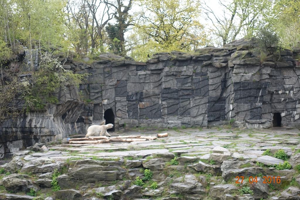 Berlin Tierpark 27.4.16