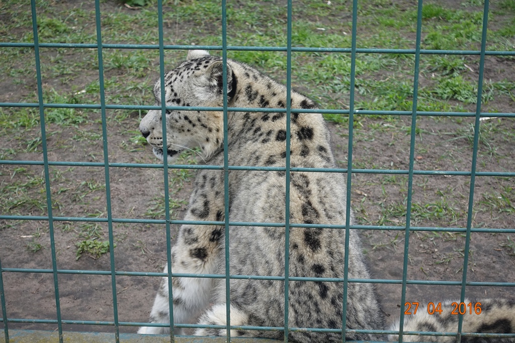 Berlin Tierpark 27.4.16