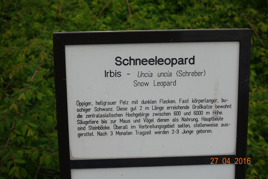 Berlin Tierpark 27.4.16