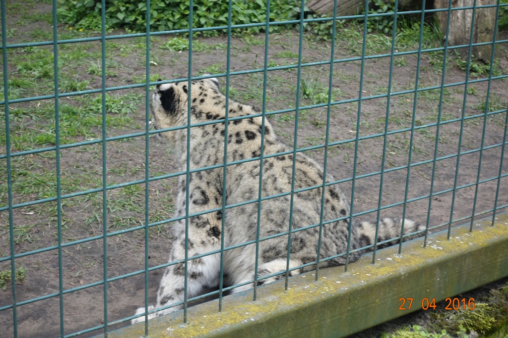 Berlin Tierpark 27.4.16