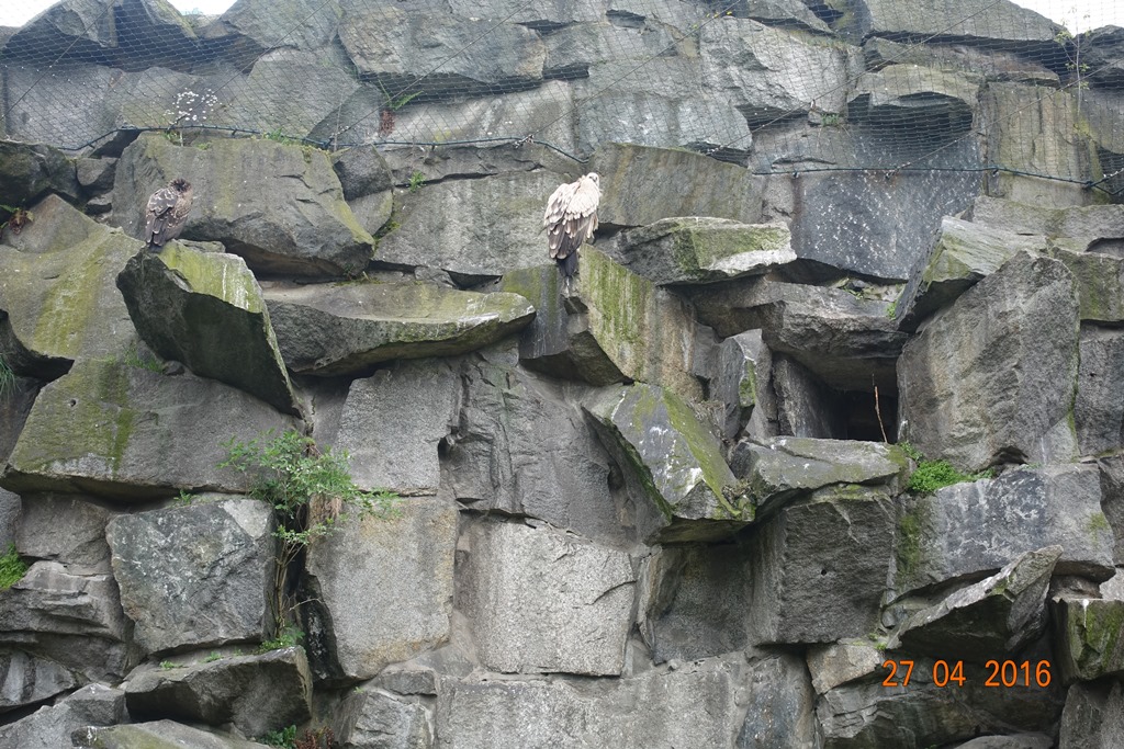 Berlin Tierpark 27.4.16