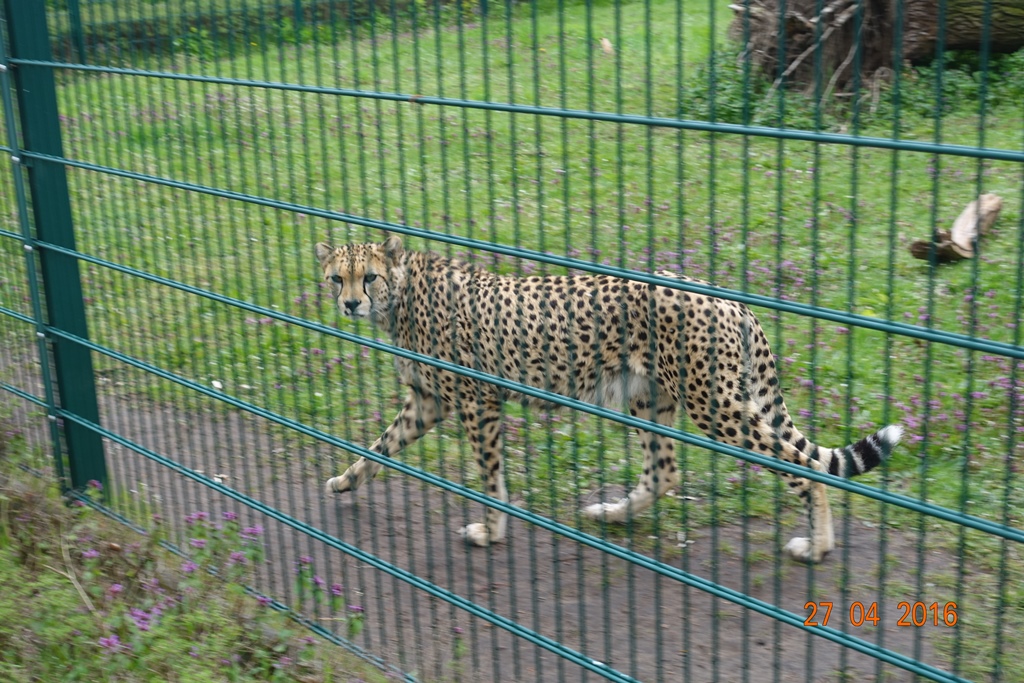 Berlin Tierpark 27.4.16