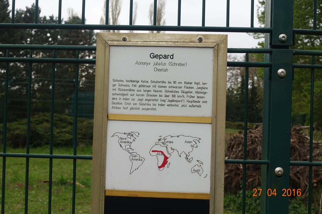 Berlin Tierpark 27.4.16