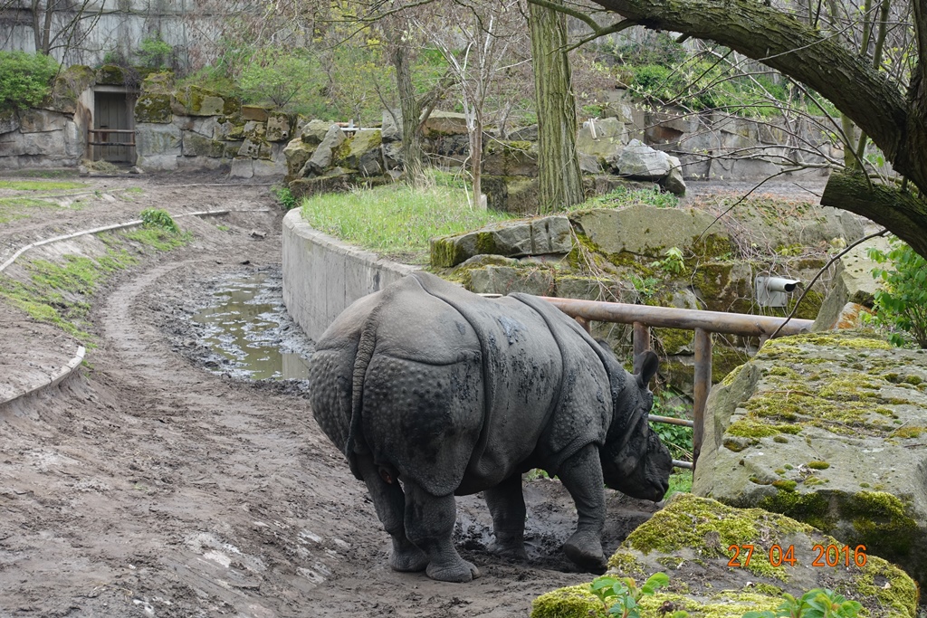 Berlin Tierpark 27.4.16