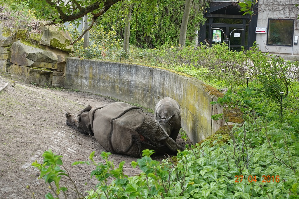Berlin Tierpark 27.4.16