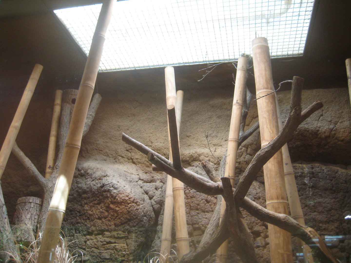 Berlin Tierpark - Alfred Brehm-Haus - Tree shrew exhibit