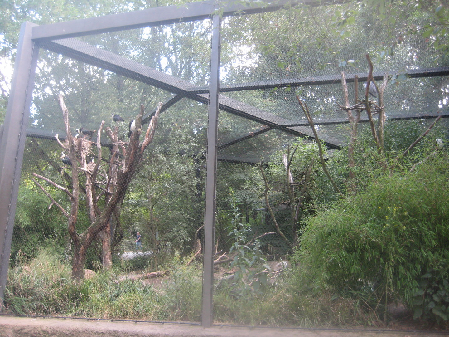 Berlin Tierpark - Australian aviary