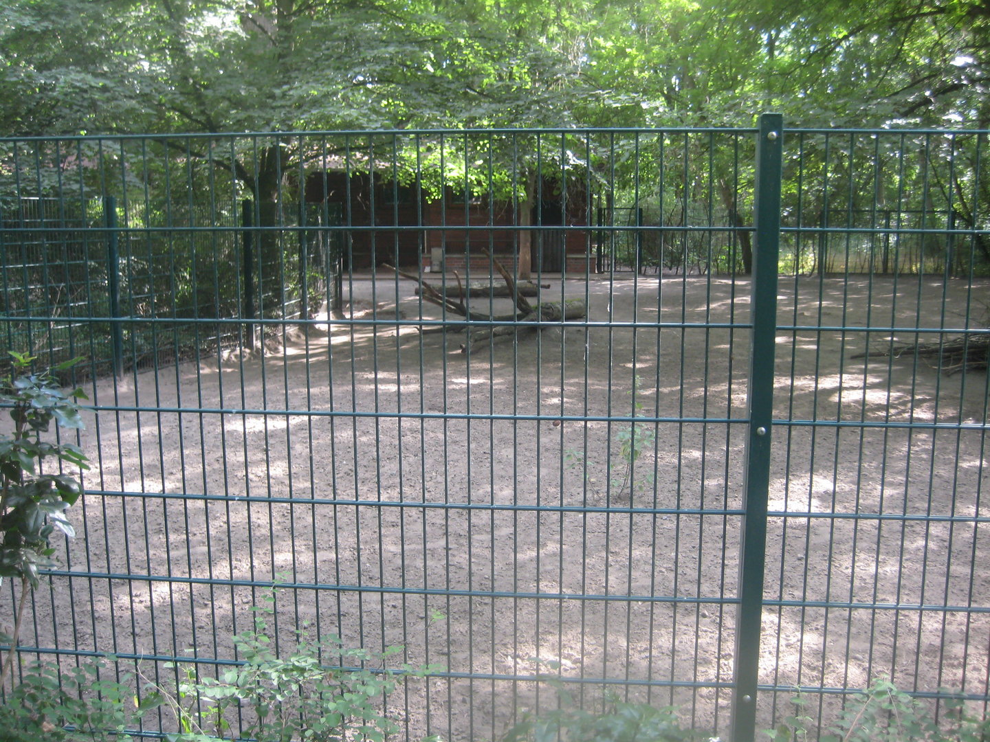 Berlin Tierpark - Bawean deer exhibit