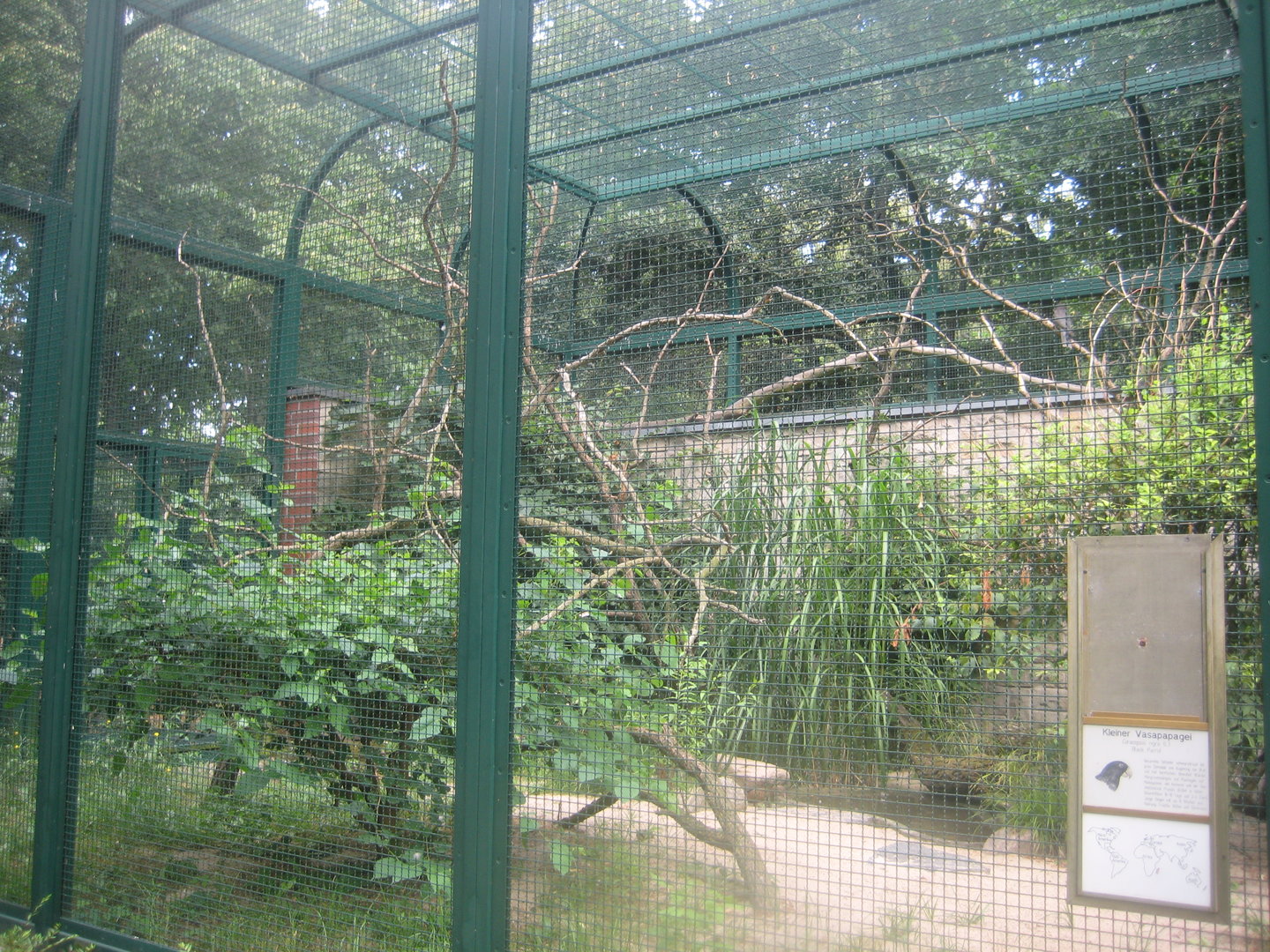 Berlin Tierpark - Black parrot aviary