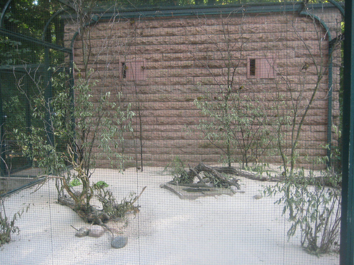 Berlin Tierpark - Children's zoo - Canary aviary