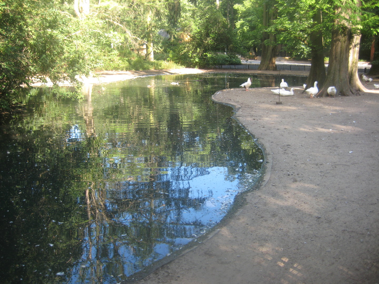 Berlin Tierpark - Children's zoo - Waterfowl pond