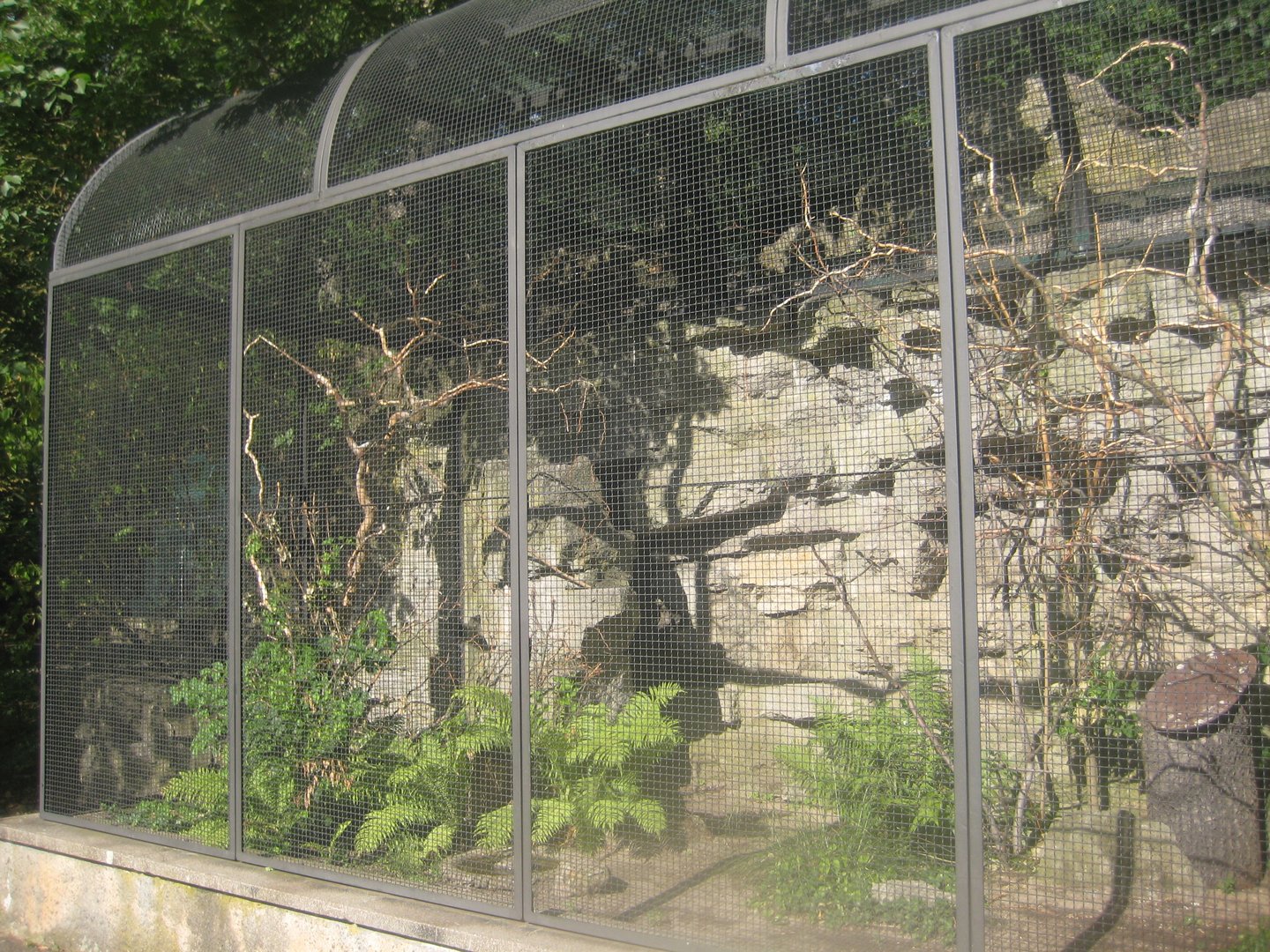Berlin Tierpark - Crimson-bellied parakeet aviary
