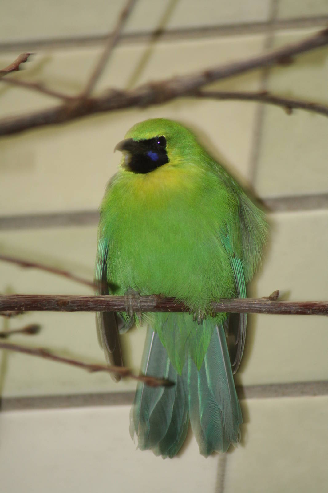 - Berlin Tierpark July 08