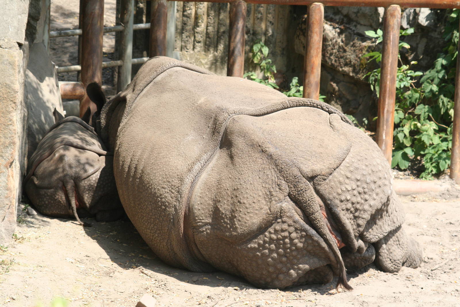 Berlin tierpark July 08