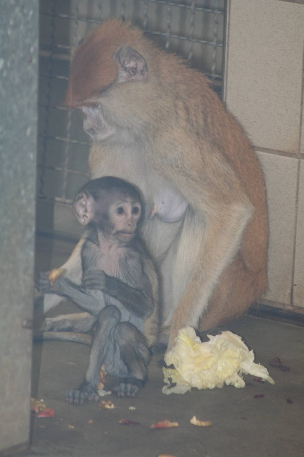 Berlin tierpark July 08