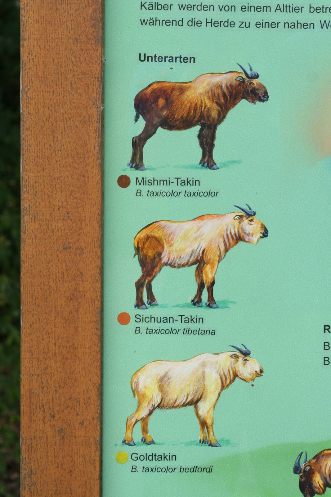 Berlin tierpark July 08