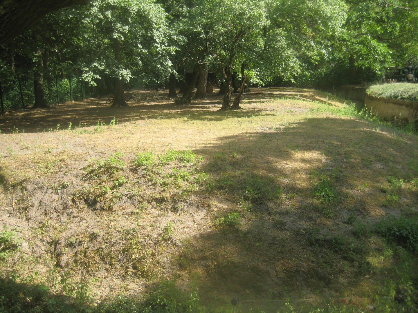 Berlin Tierpark - Kangaroo exhibit