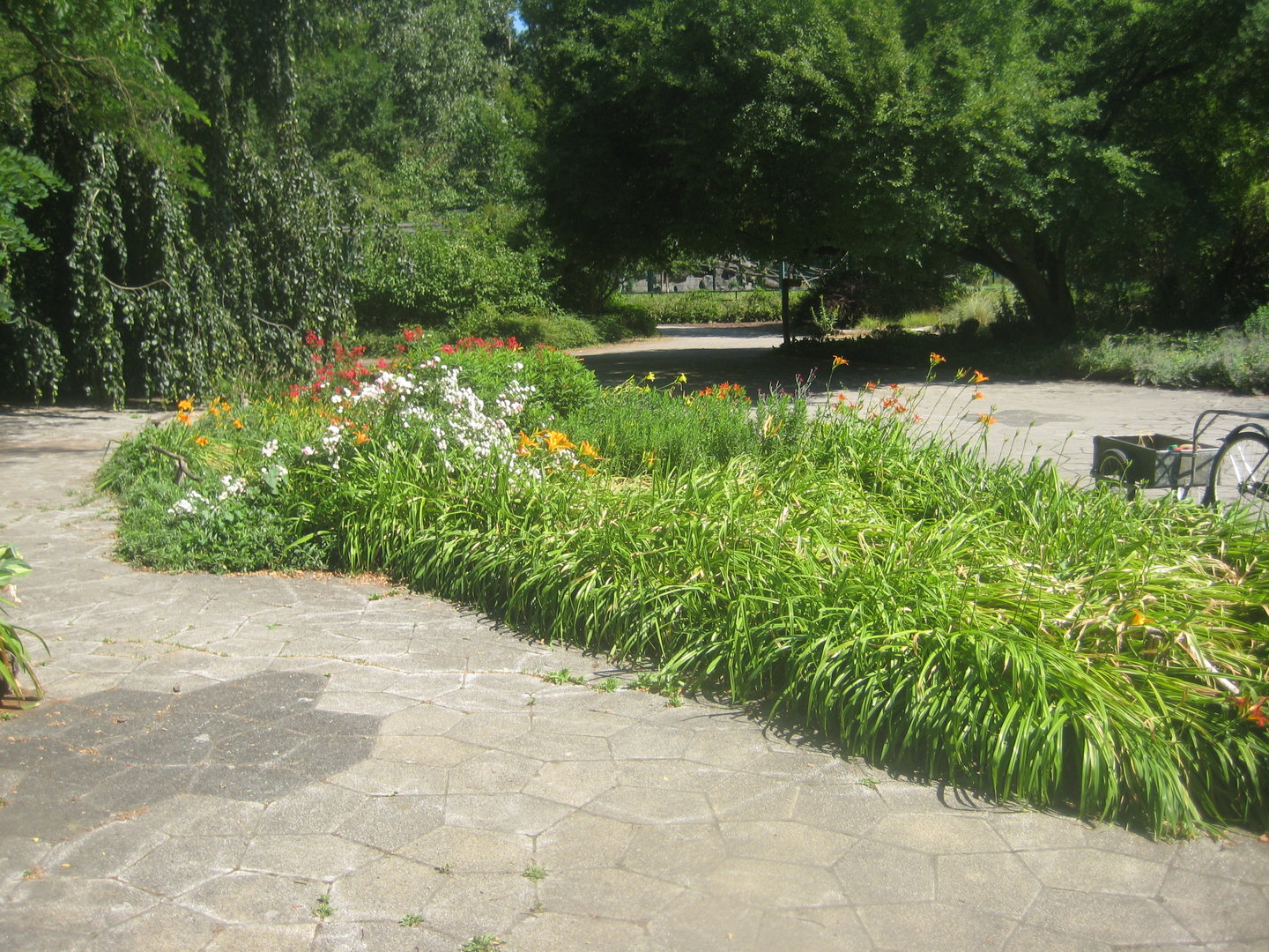 Berlin Tierpark - Karl-Foerster-Garten