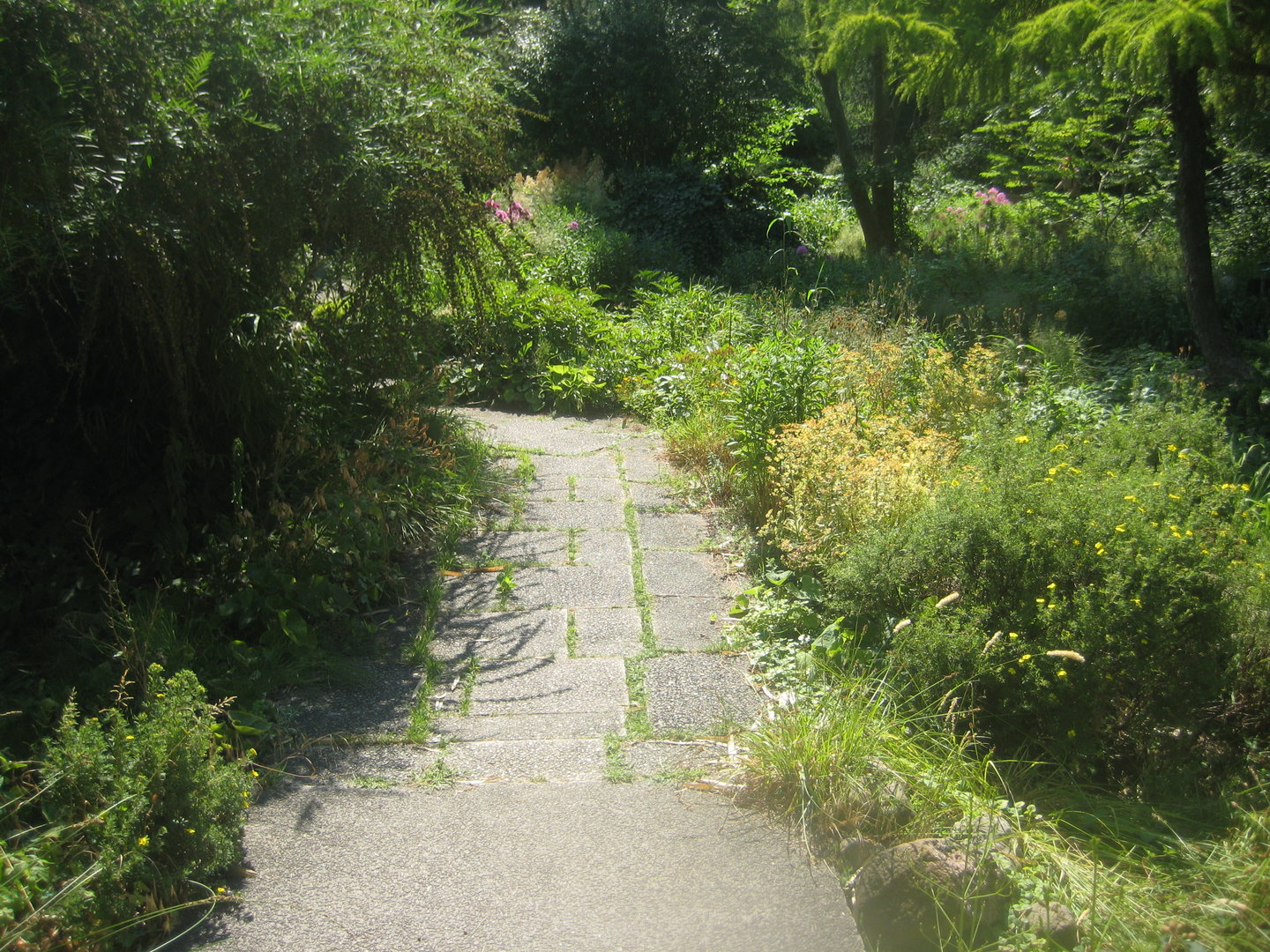 Berlin Tierpark - Karl-Foerster-Garten