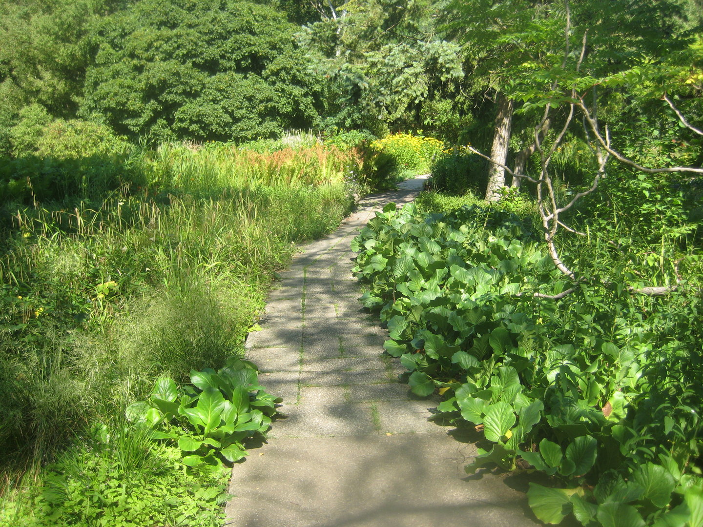 Berlin Tierpark - Karl-Foerster-Garten