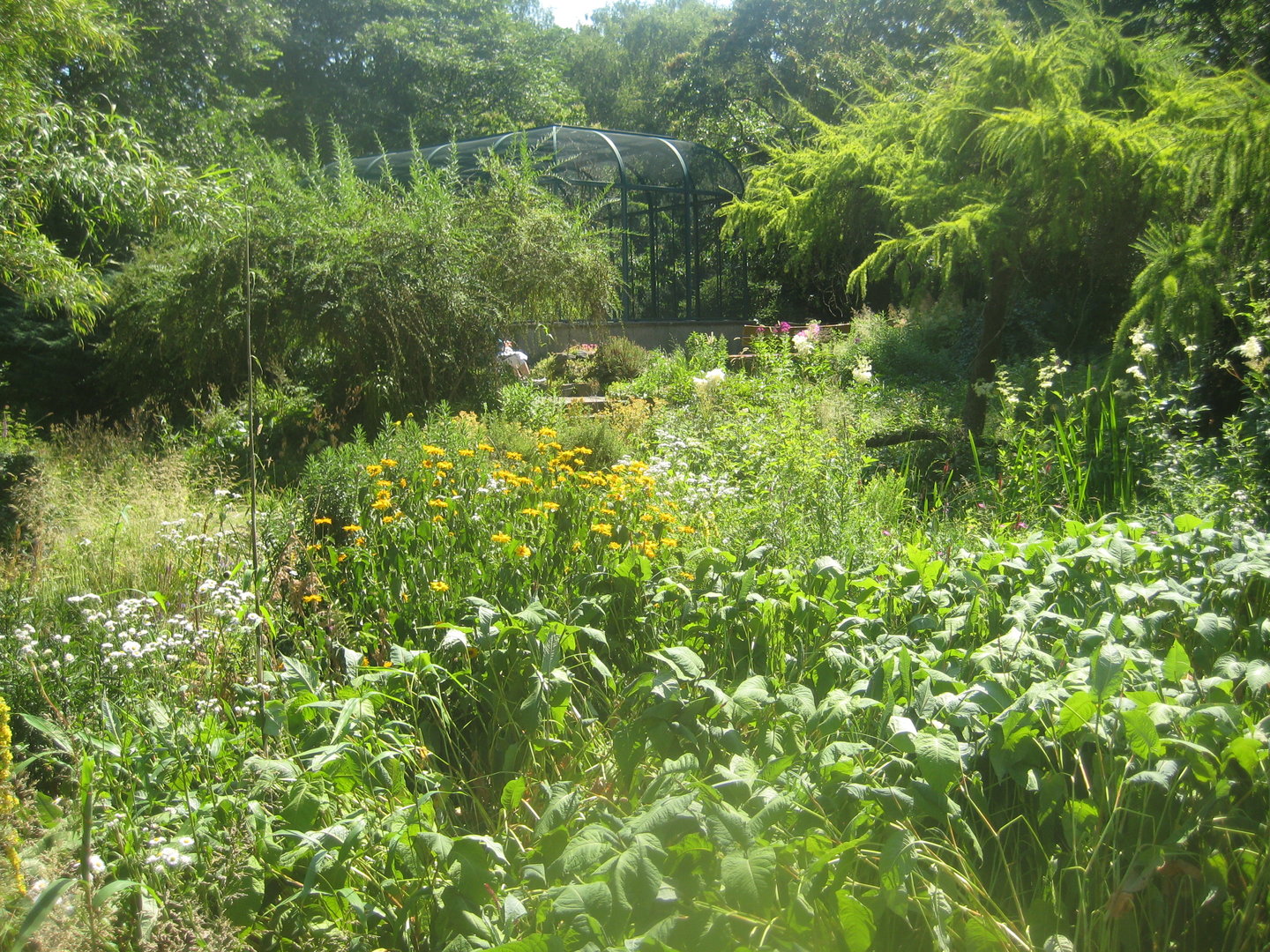 Berlin Tierpark - Karl-Foerster-Garten