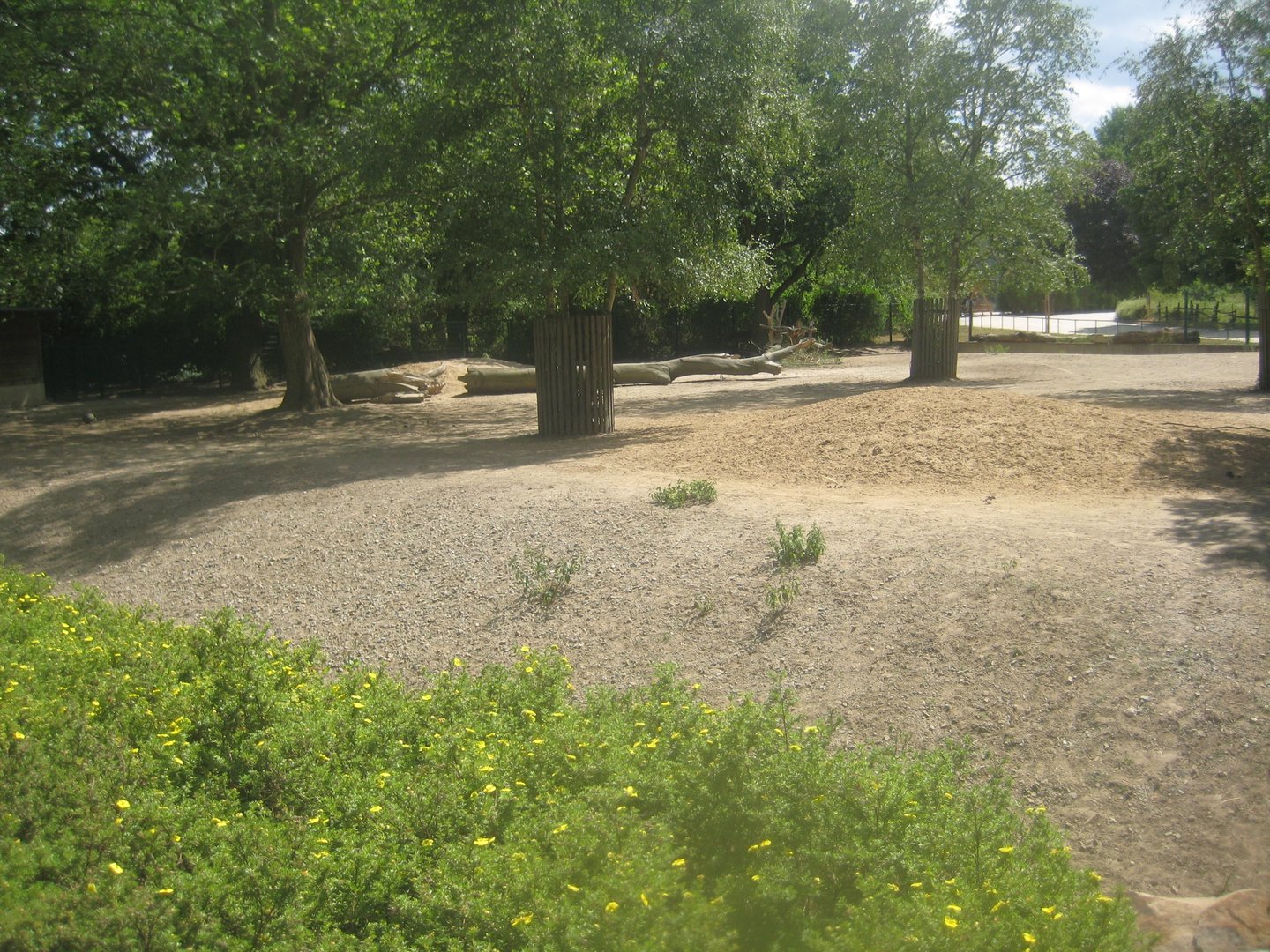 Berlin Tierpark - Reindeer exhibit