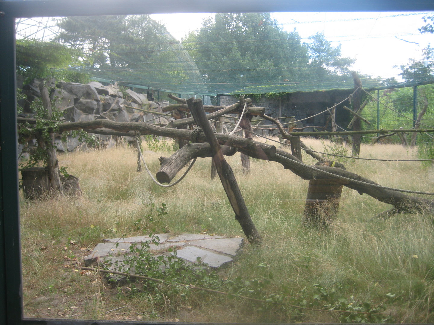 Berlin Tierpark - Siamang exhibit