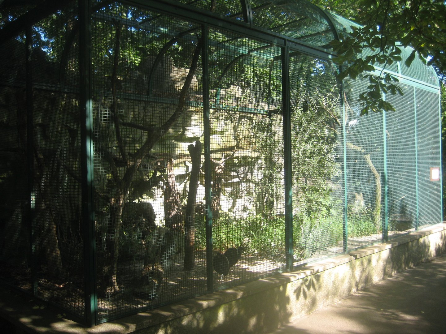 Berlin Tierpark - Trumpeter aviary
