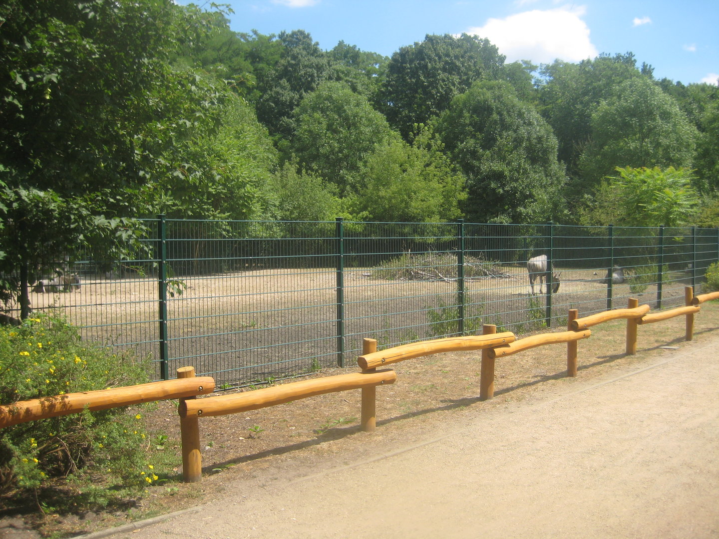 Berlin Tierpark - Wildebeest exhibit