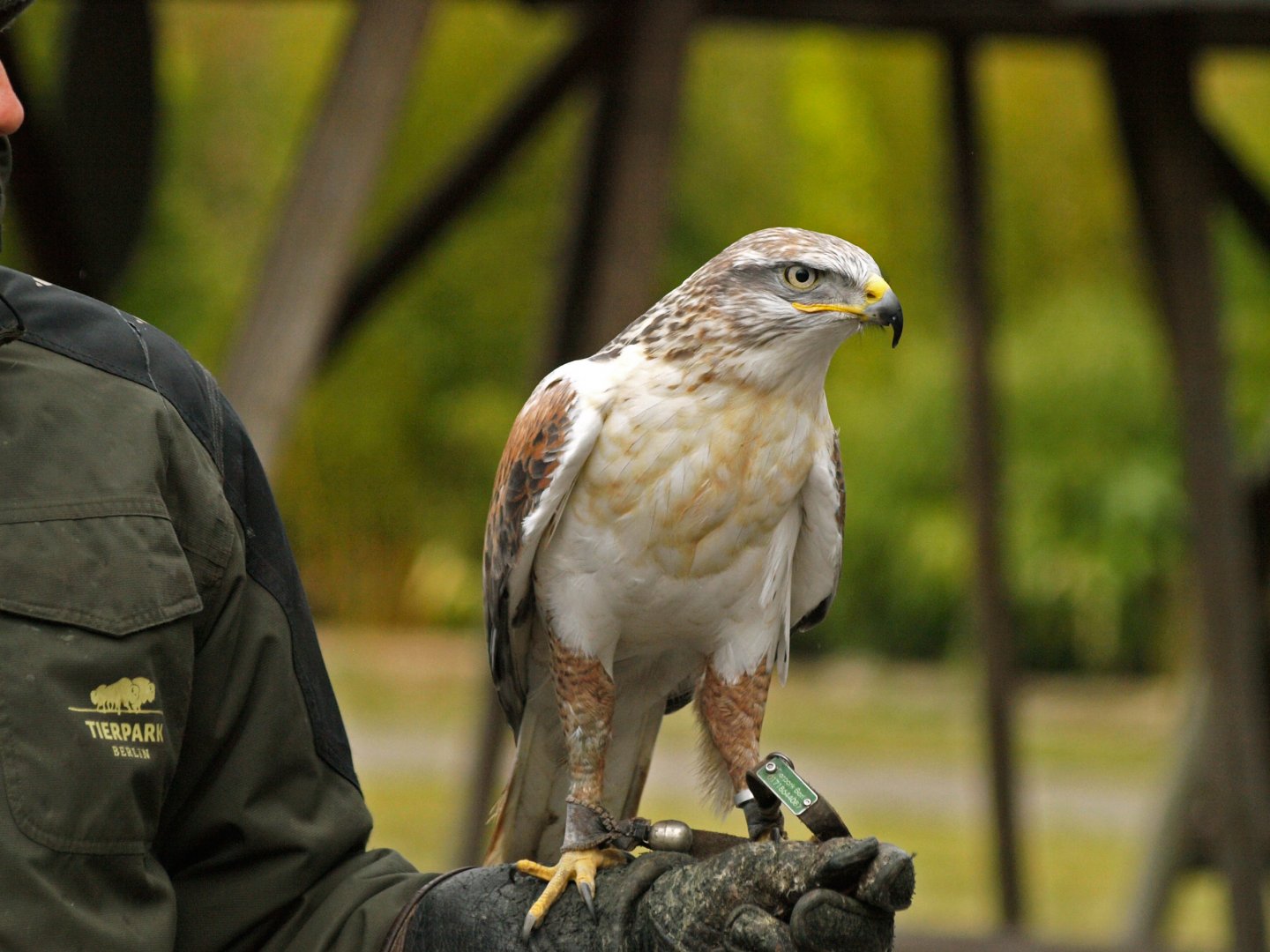 Berlin Tierpark