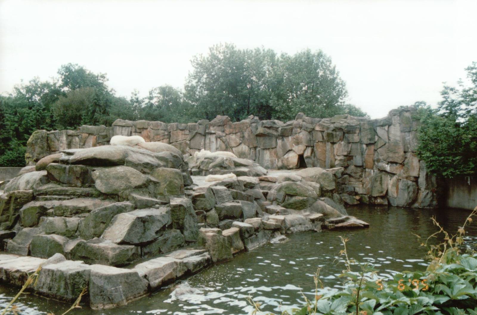 Berlin Zoo 1995 - The larger Polar Bear exhibit from the right