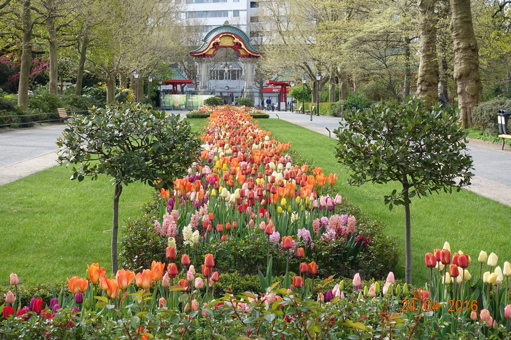 Berlin Zoo 24.4.16